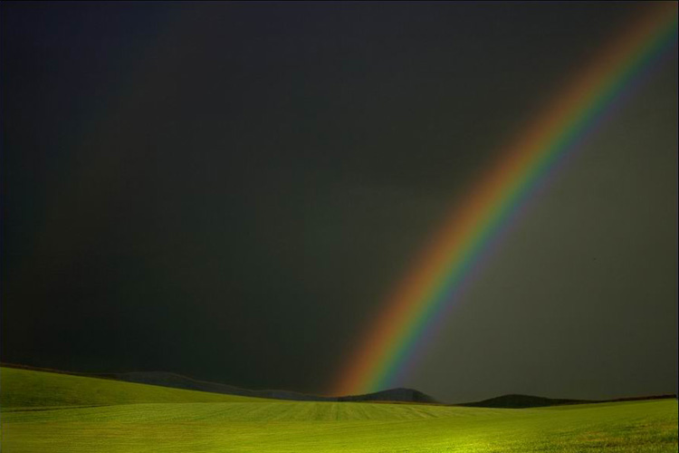 2889103591_4d7b7724a6_o