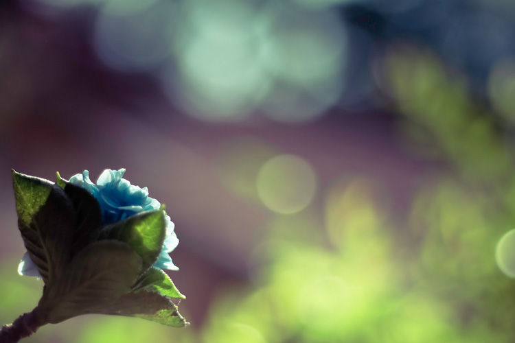 4668833794_919627ddd3_b