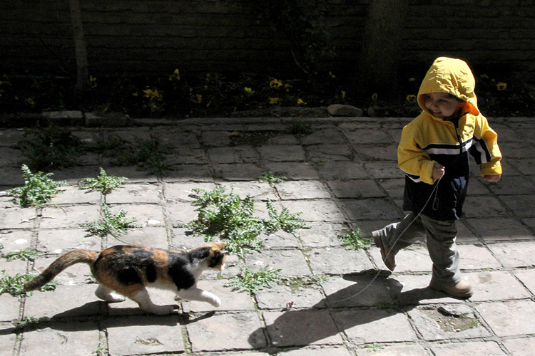 8536089220_bd8e4f7250_o