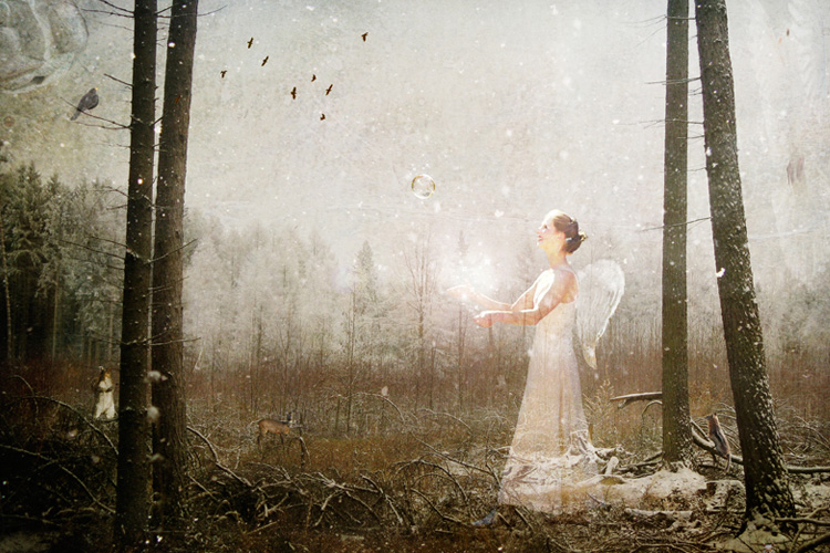 マインドフルネスと慈悲の心