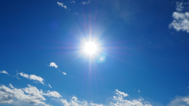 リビングでヨガをする女性