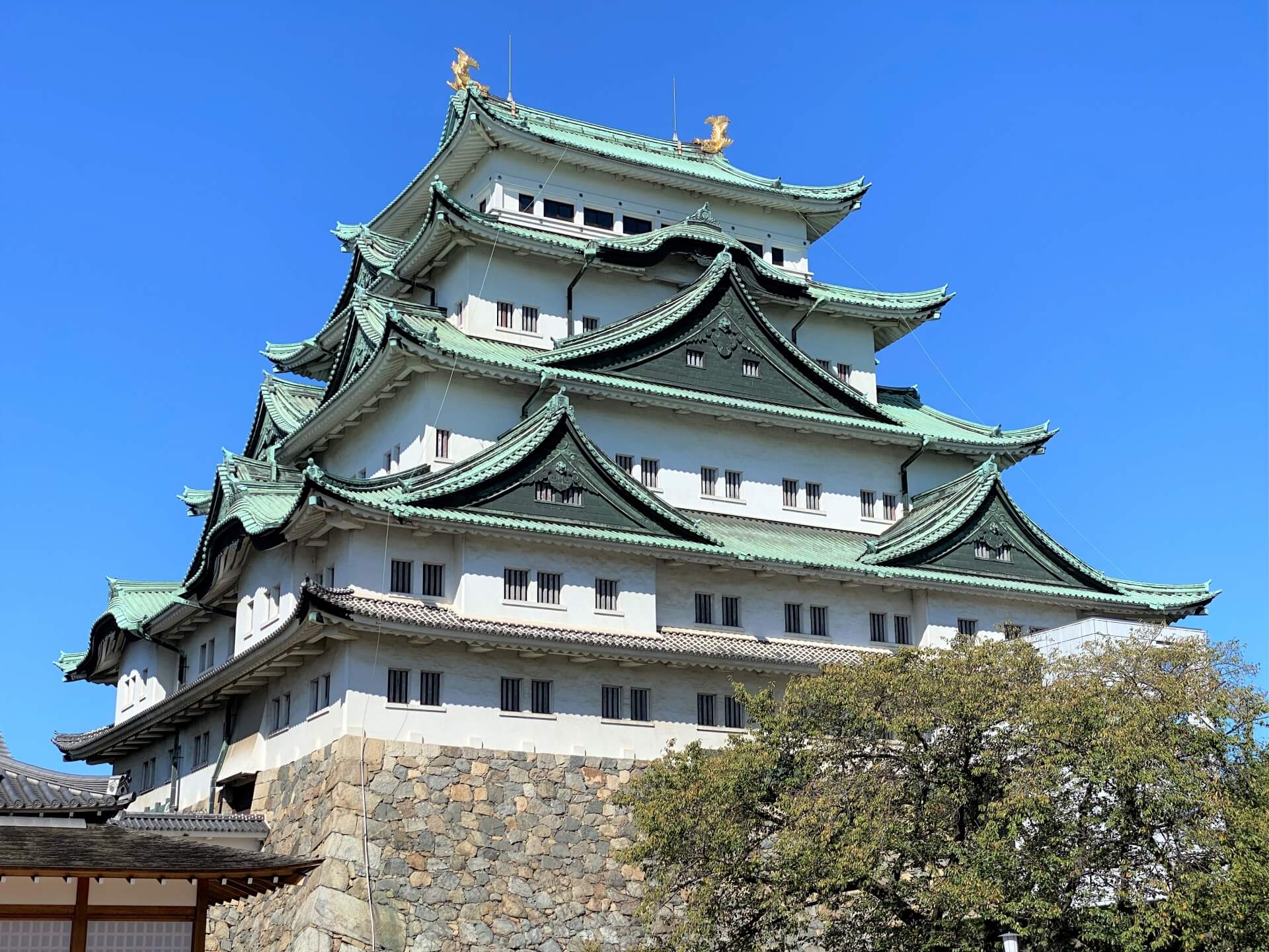 名古屋エリアでおすすめのピラティススタジオ4選！初心者でも気軽に通えるスタジオをご紹介