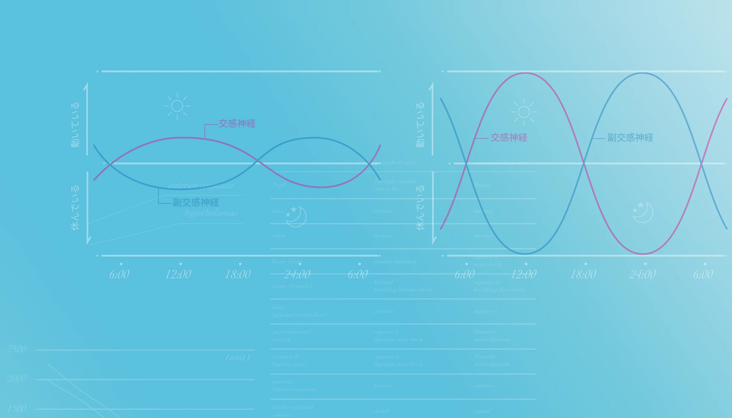トータルパワーを「視える化」し、「高める」ステップへ。