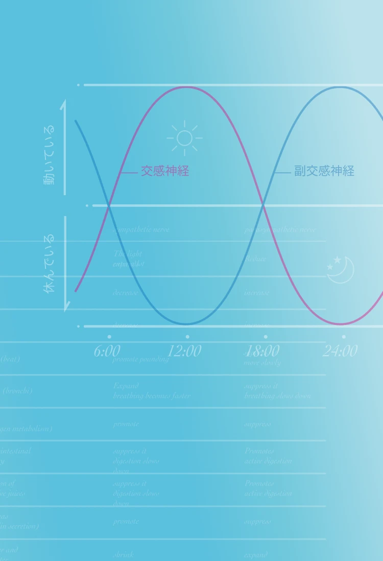 トータルパワーを「視える化」し、「高める」ステップへ。