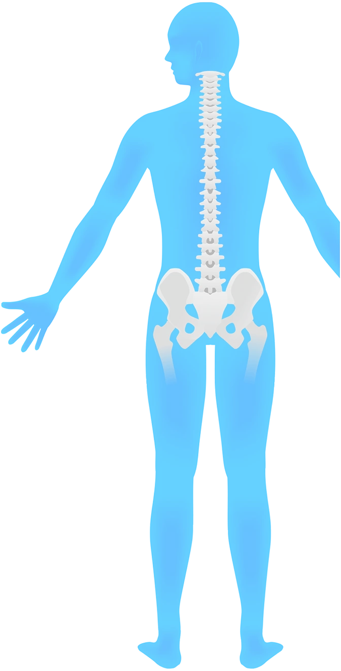 Science Integration Background