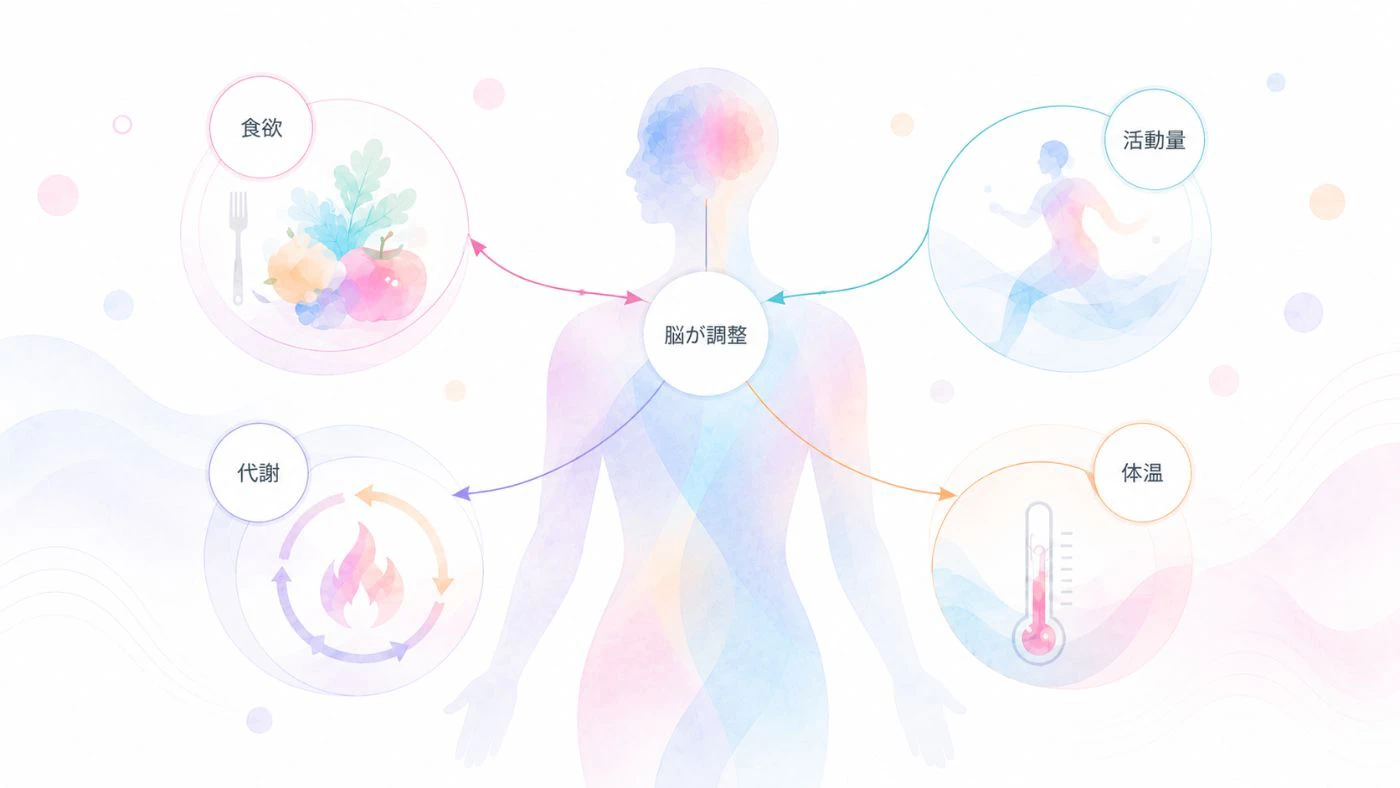 脳(視床下部)が食欲・活動量・代謝・体温を調整していることを示した図解