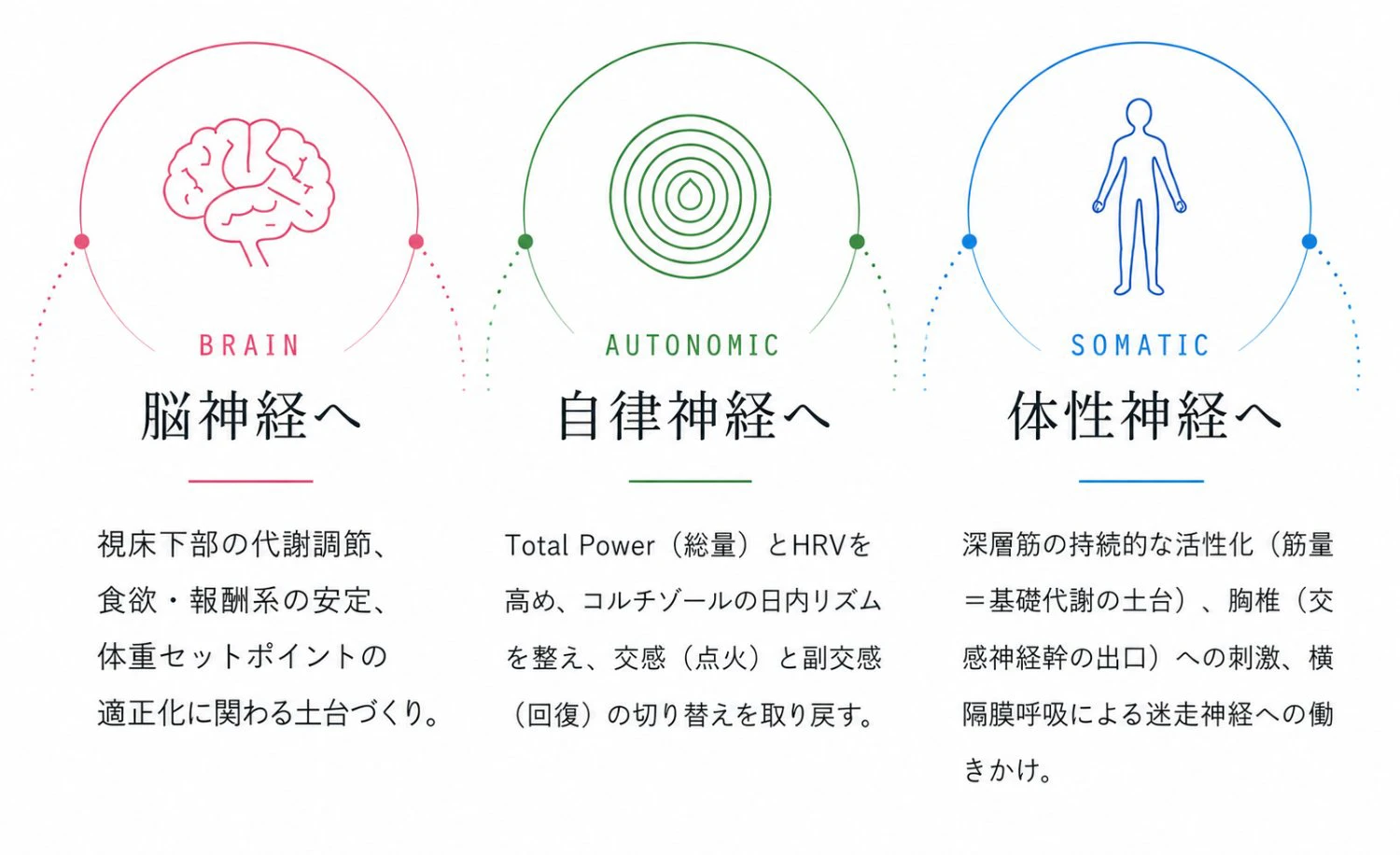 Triple Approach ── 脳神経へ(BRAIN)・自律神経へ(AUTONOMIC)・体性神経へ(SOMATIC)の3つの働きかけ