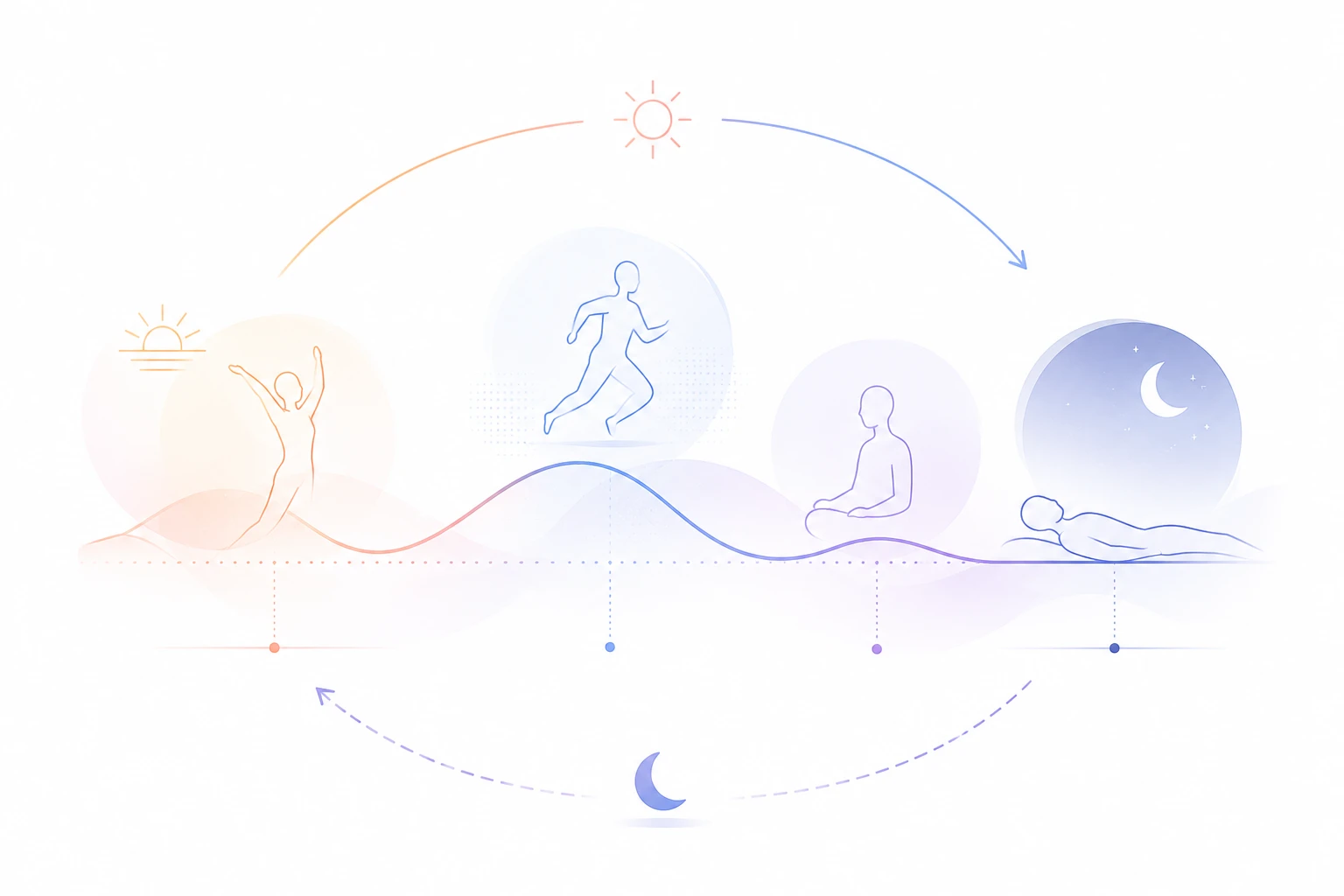 朝・昼・夕・夜の24時間覚醒デザイン