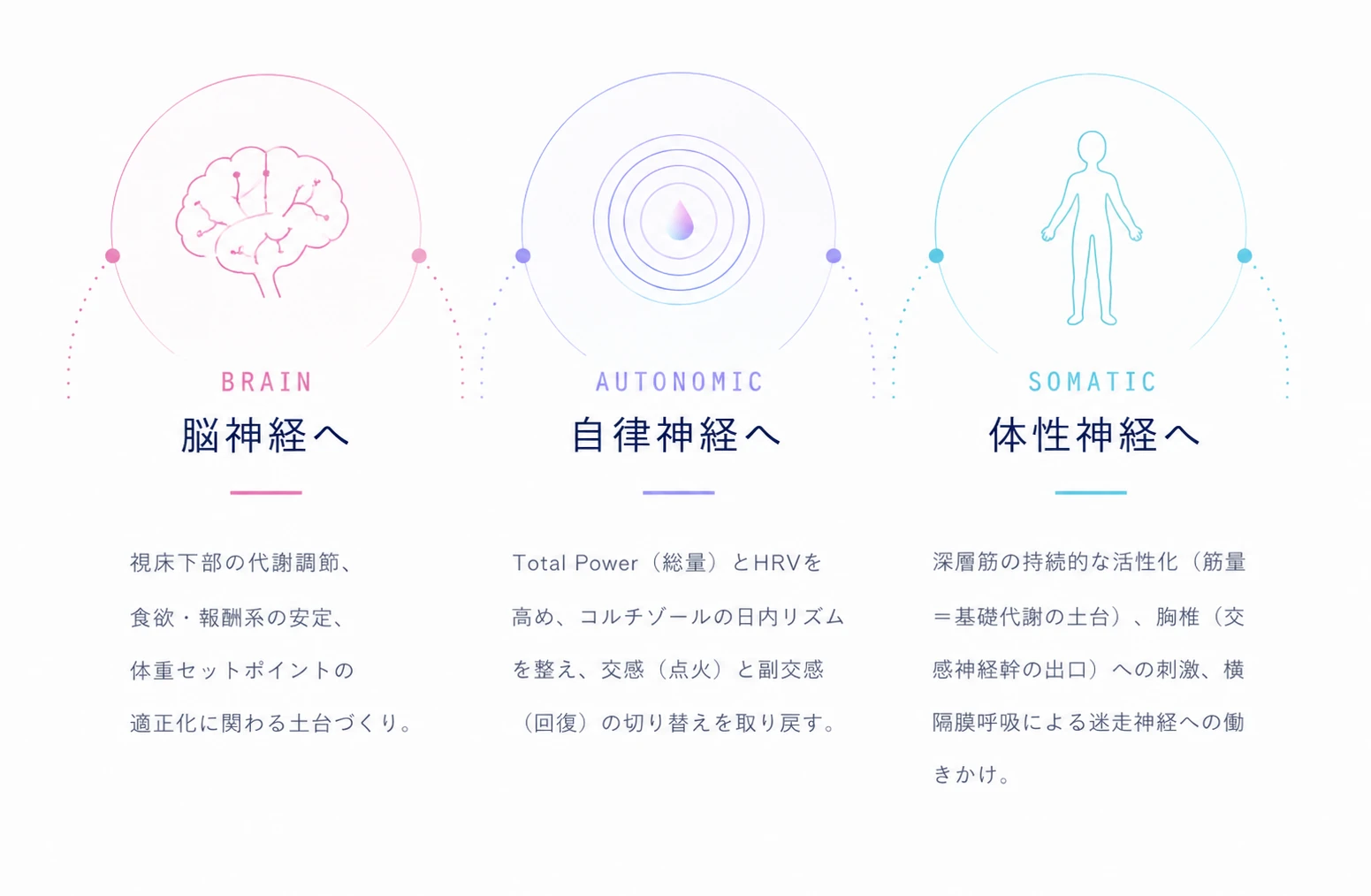 Triple Approach ── 脳神経・自律神経・体性神経への働きかけ