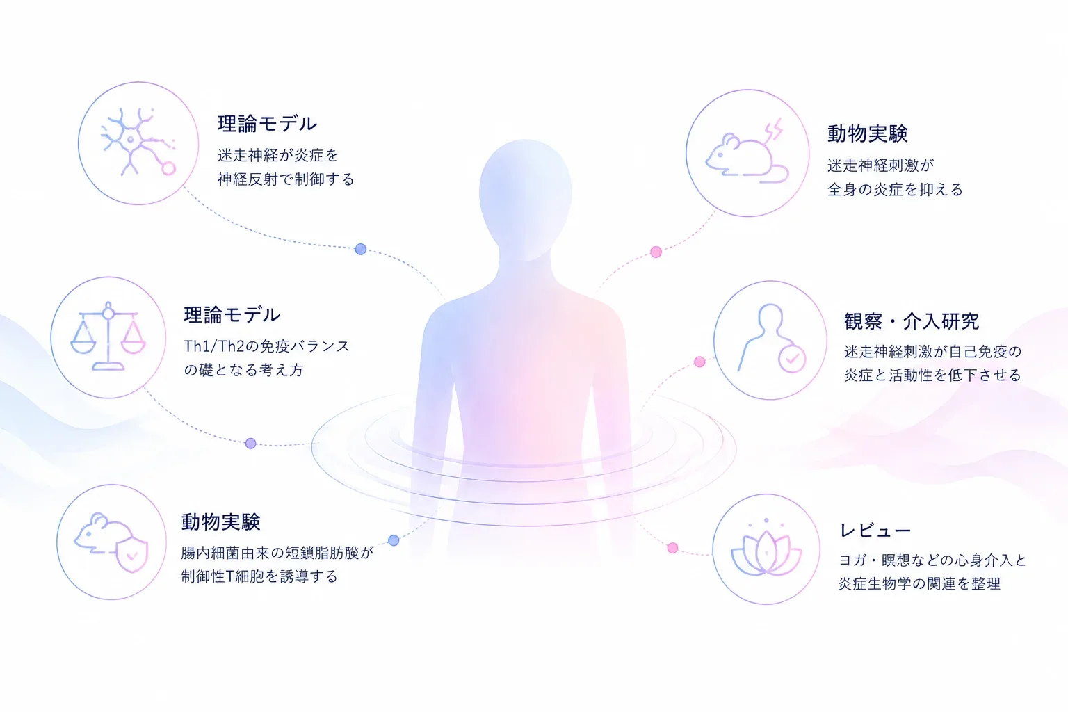 研究知見の全体像——理論モデル・動物実験・ヒト研究のマップ