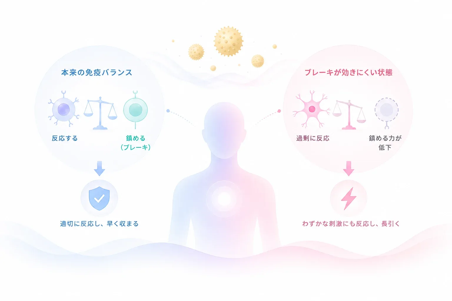 本来の免疫バランスと、ブレーキが効きにくい状態の比較