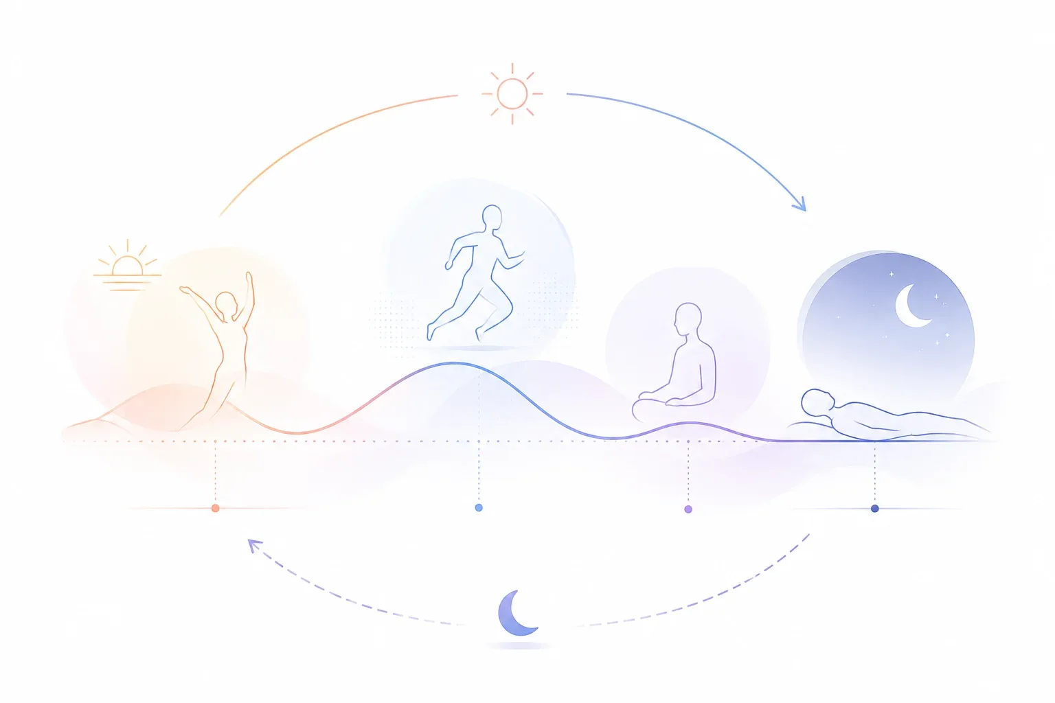 朝の立ち上がりから日中の活動、夜の鎮静までの一日のリズム
