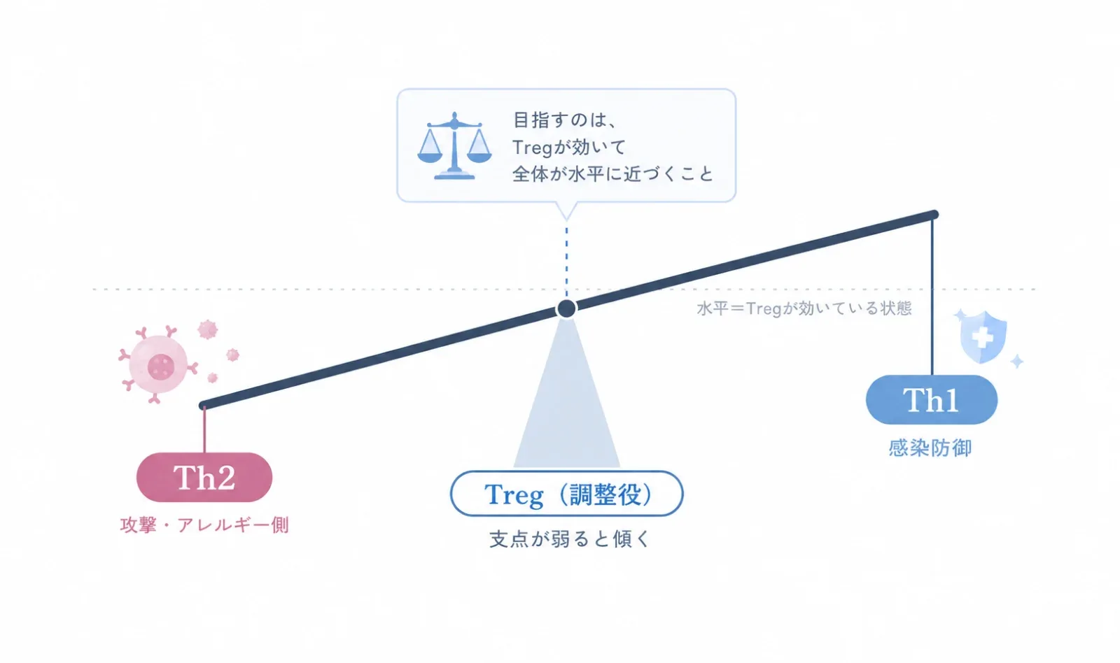 Th2・Th1・Tregのバランスを表す免疫のシーソー