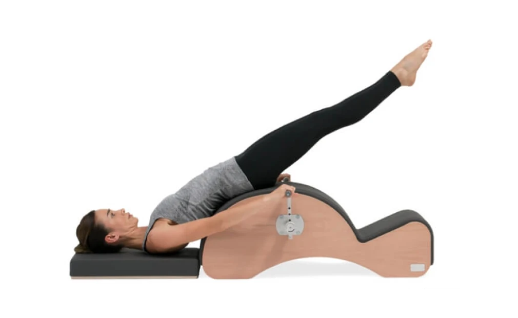 スパインコレクター