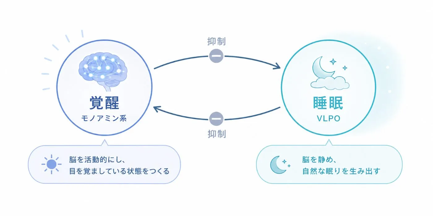 覚醒(モノアミン系)と睡眠(VLPO)が互いに抑制し合うフリップフロップスイッチの図解