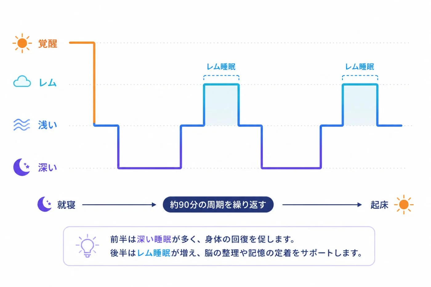 一晩の睡眠が覚醒・レム・浅い・深いを約90分周期で繰り返す図解