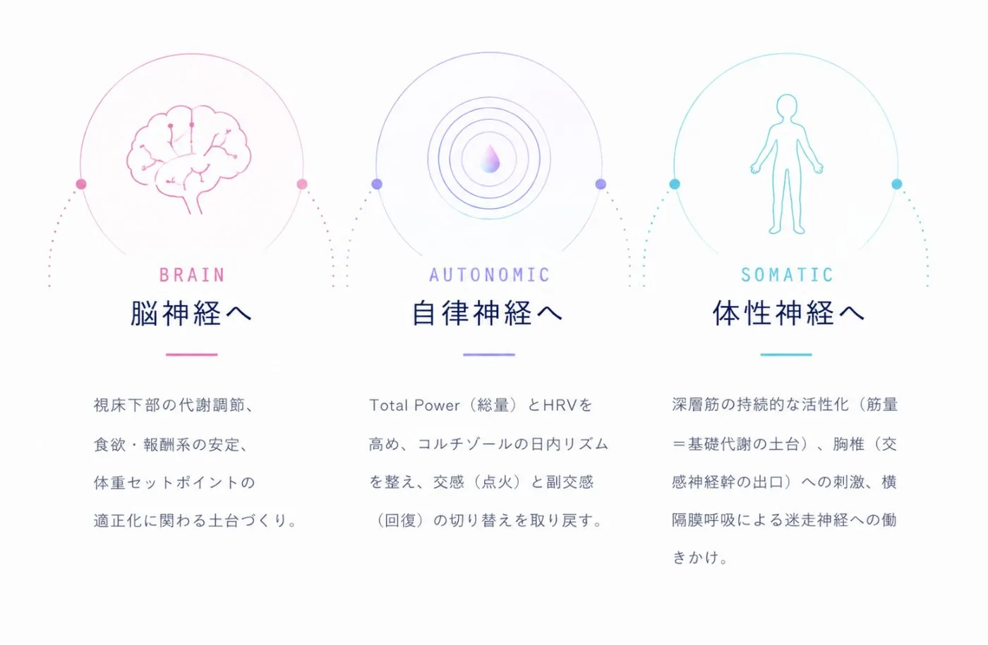 脳神経・自律神経・体性神経の三層に働きかけるTriple Approachの図解