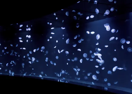 「背骨から整う！大人ピラティス」