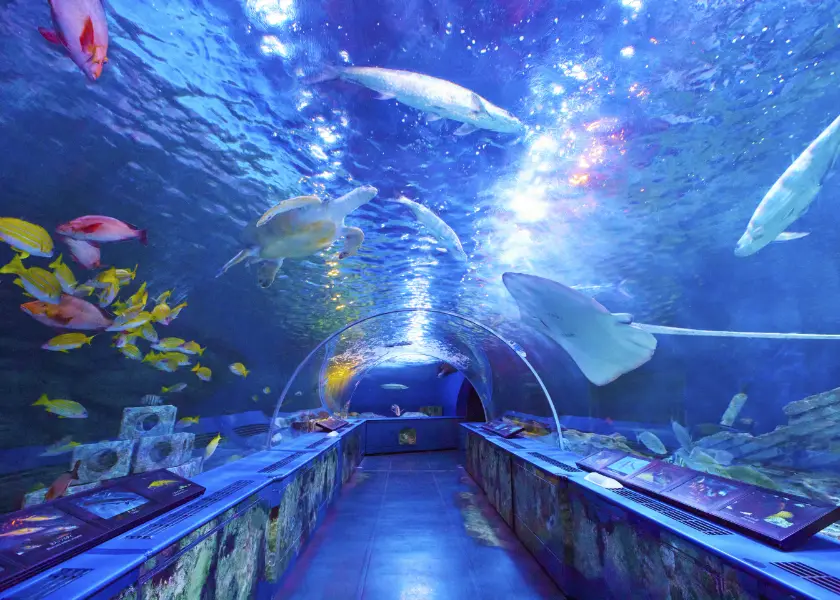 「背骨から整う!大人ピラティス」