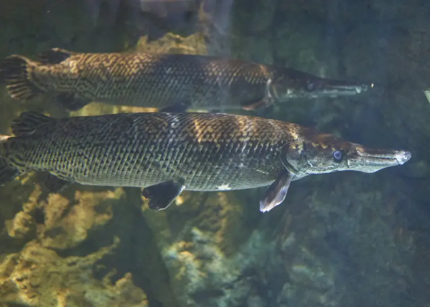 「背骨から整う!大人ピラティス」