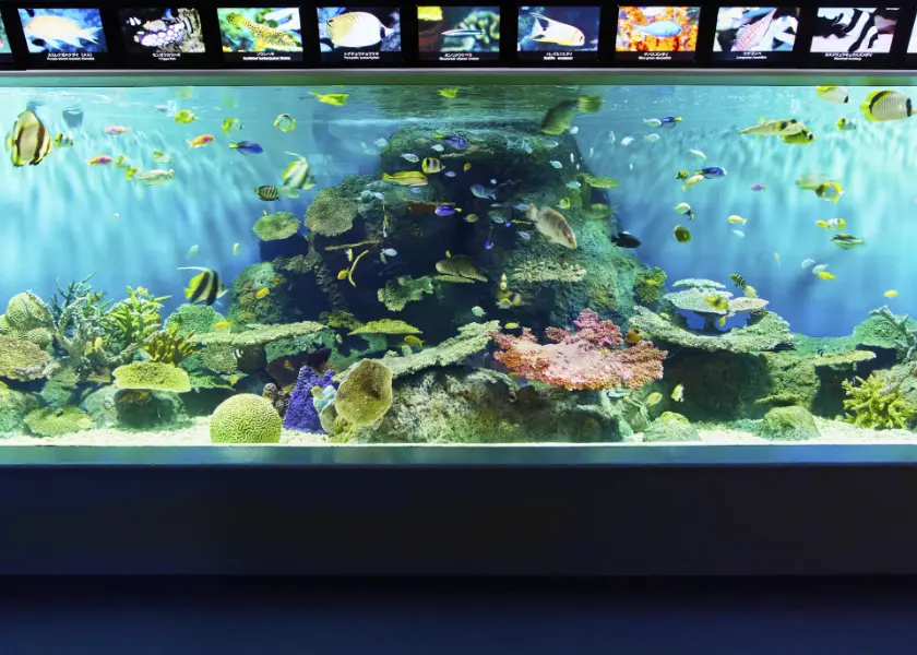 「背骨から整う!大人ピラティス」