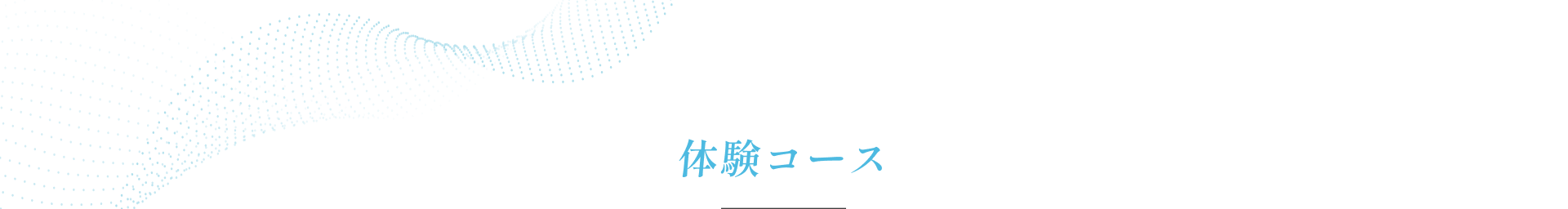 体験コース