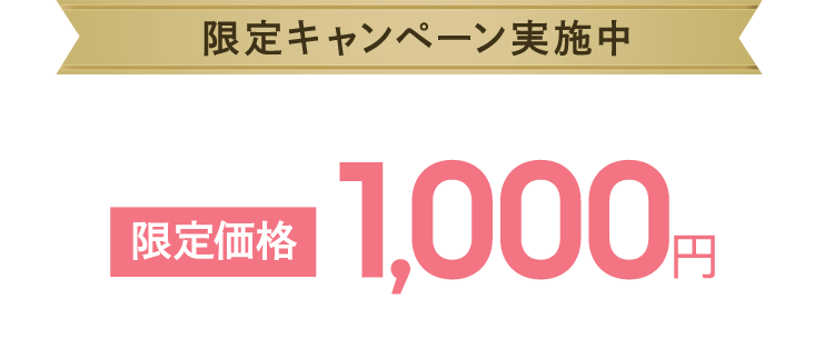 限定キャンペーン実施中