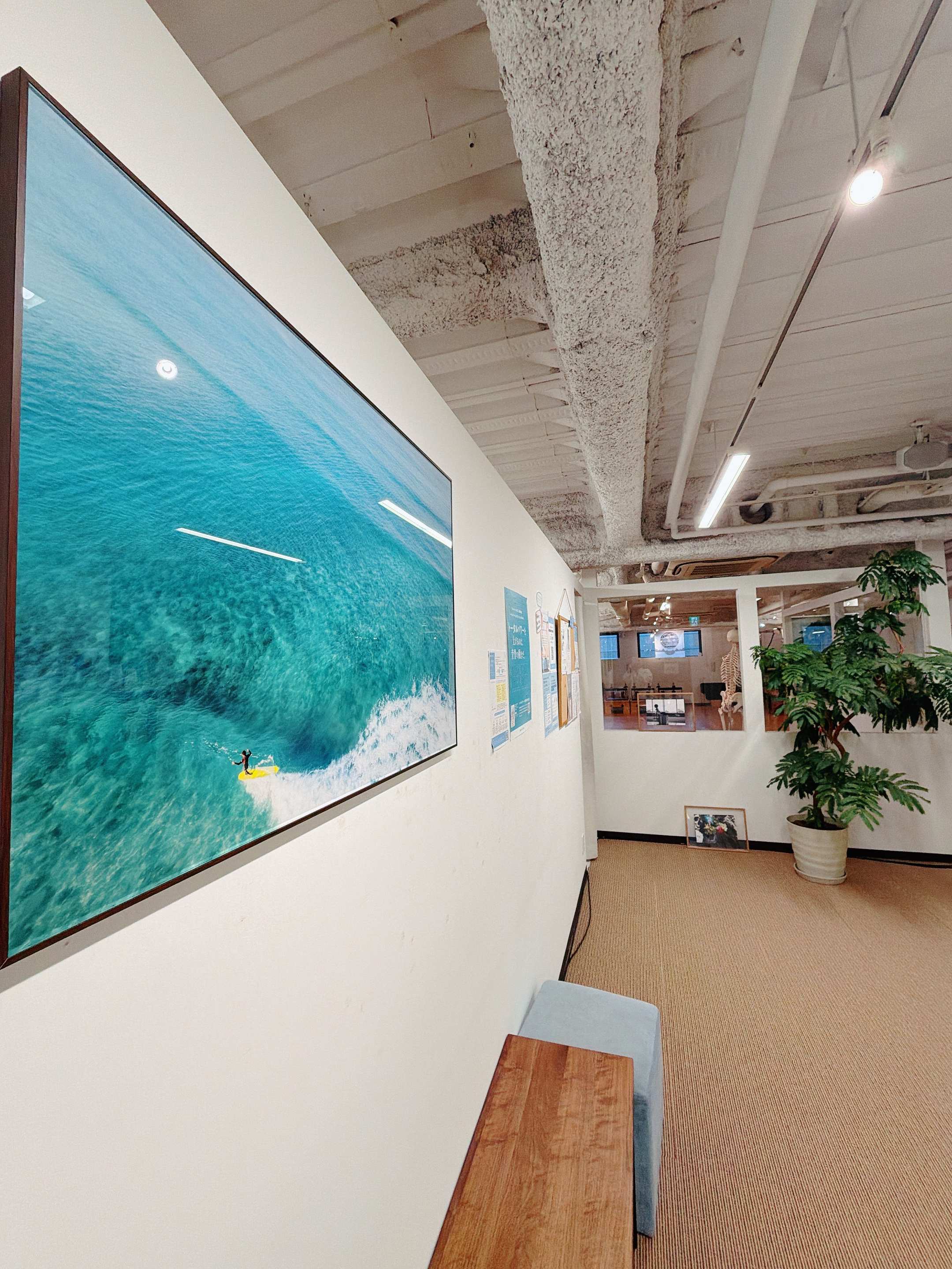 国立 スタジオ写真 2