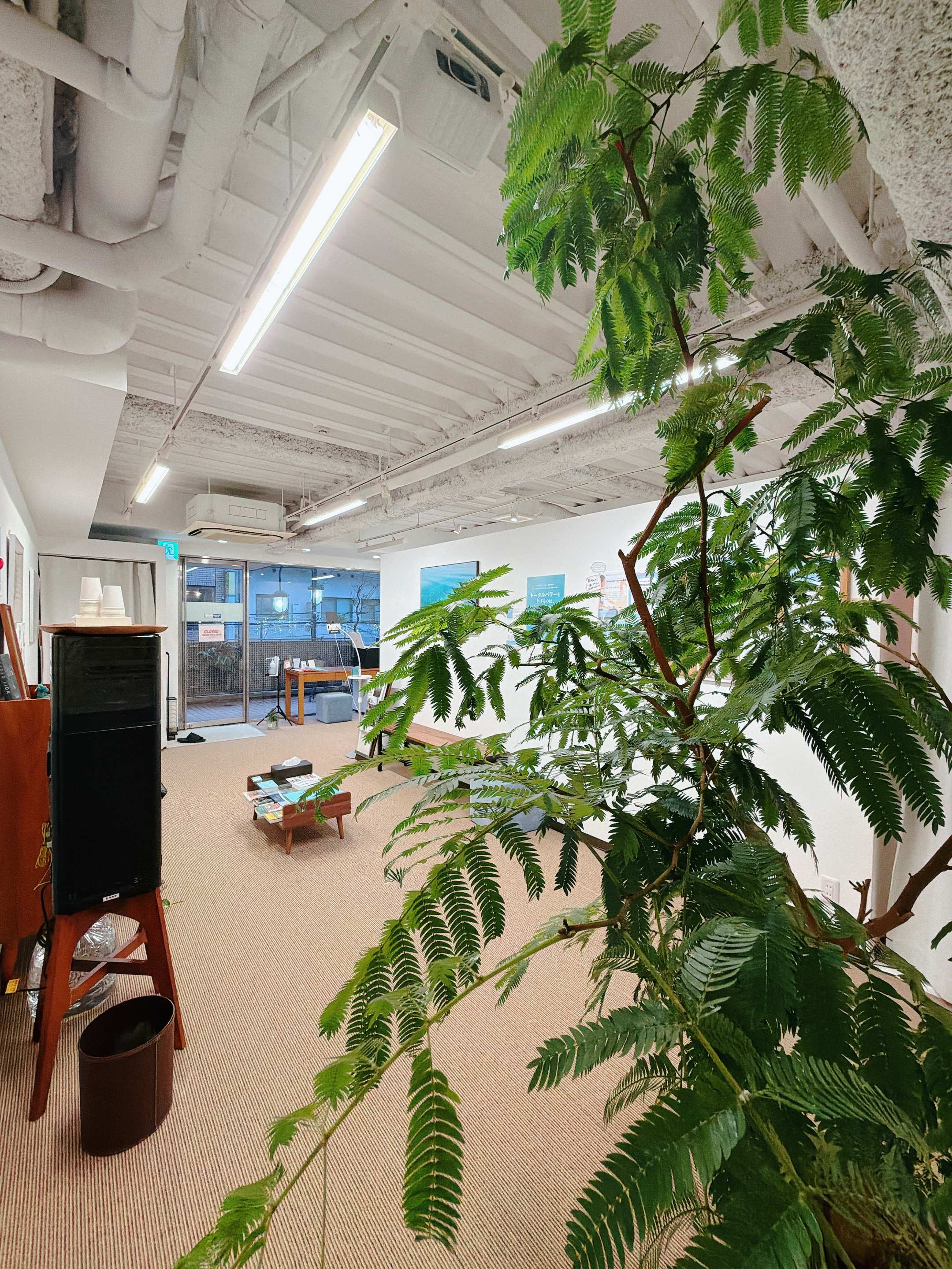 国立 スタジオ写真 3